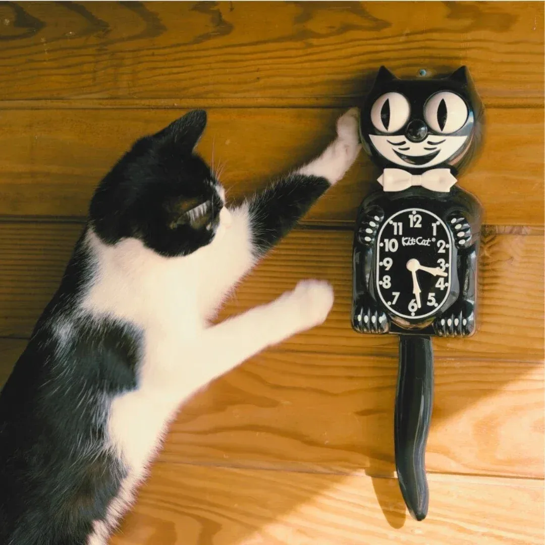 美國 Kit-Cat Clock 貓時鐘 商品描述 3